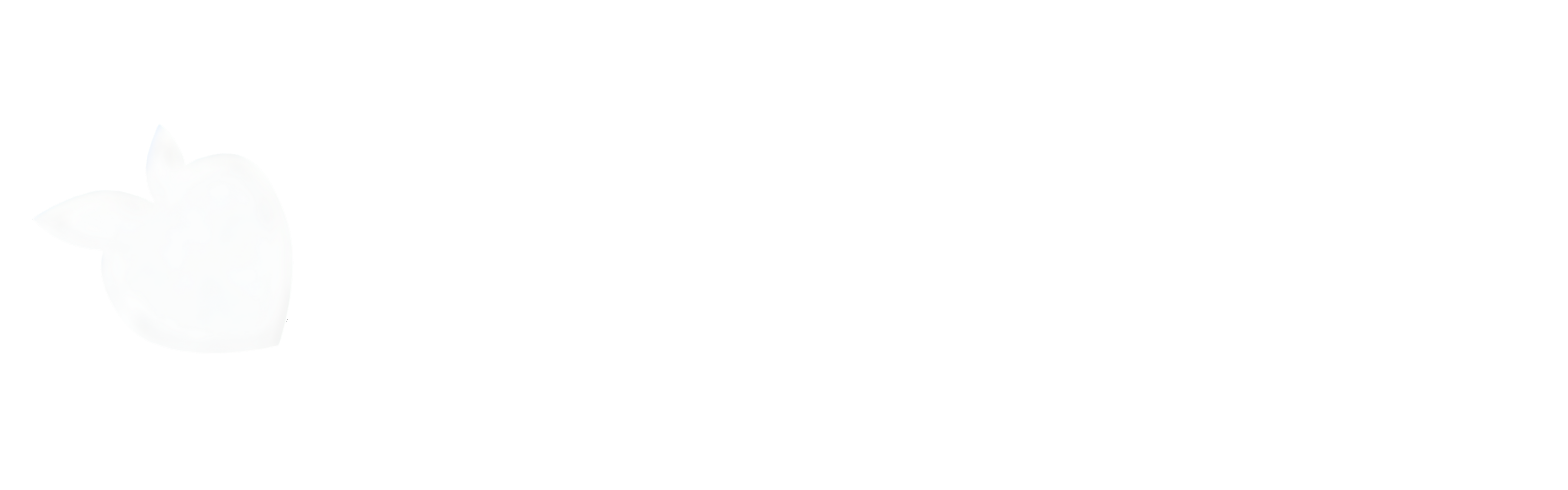tsgabrielle® 2