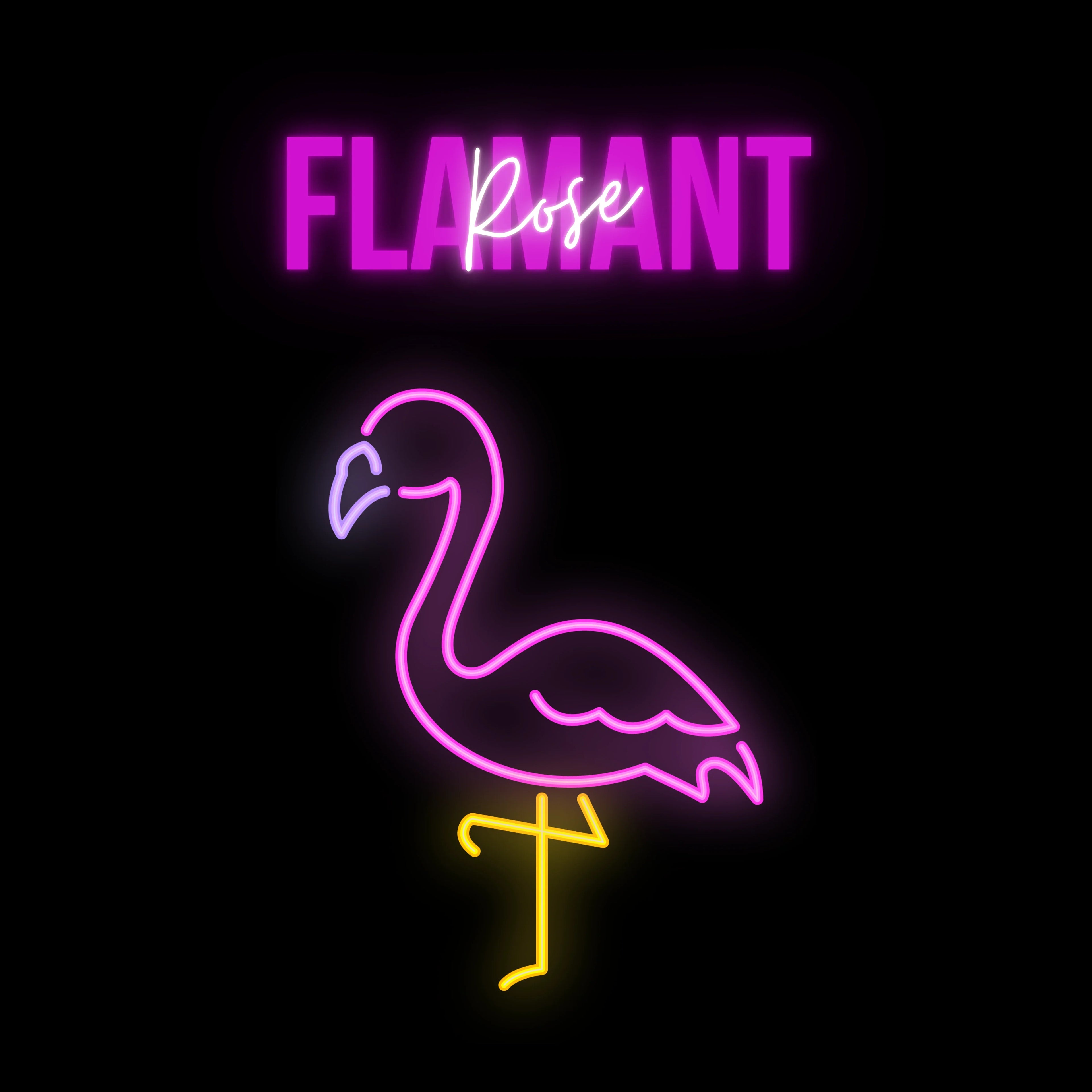 tsgabrielle® • Flamant Rose • Pickleball Paddle Set