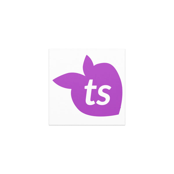 tsgabrielle® • Car Magnets • White • One Sizes • 5″×5″ White