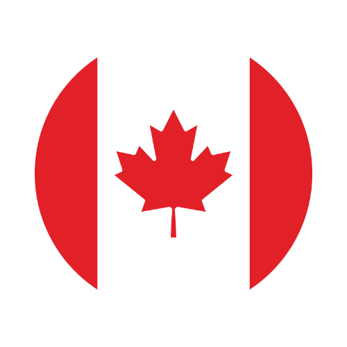 Canadian flag with a red maple leaf on a white background