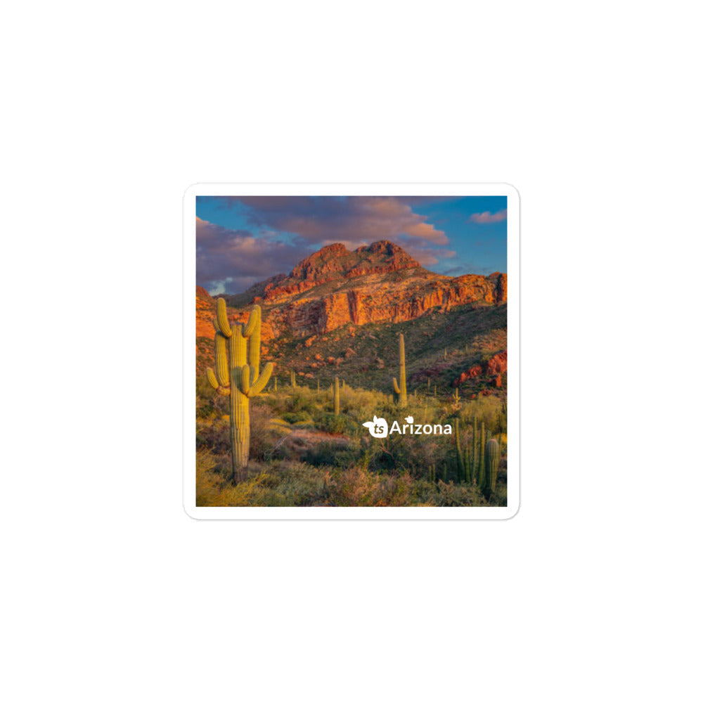 tsgabrielle® • Arizona - Tucson Mountain Range • Sticker Bubble-Frees • 3 Sizes