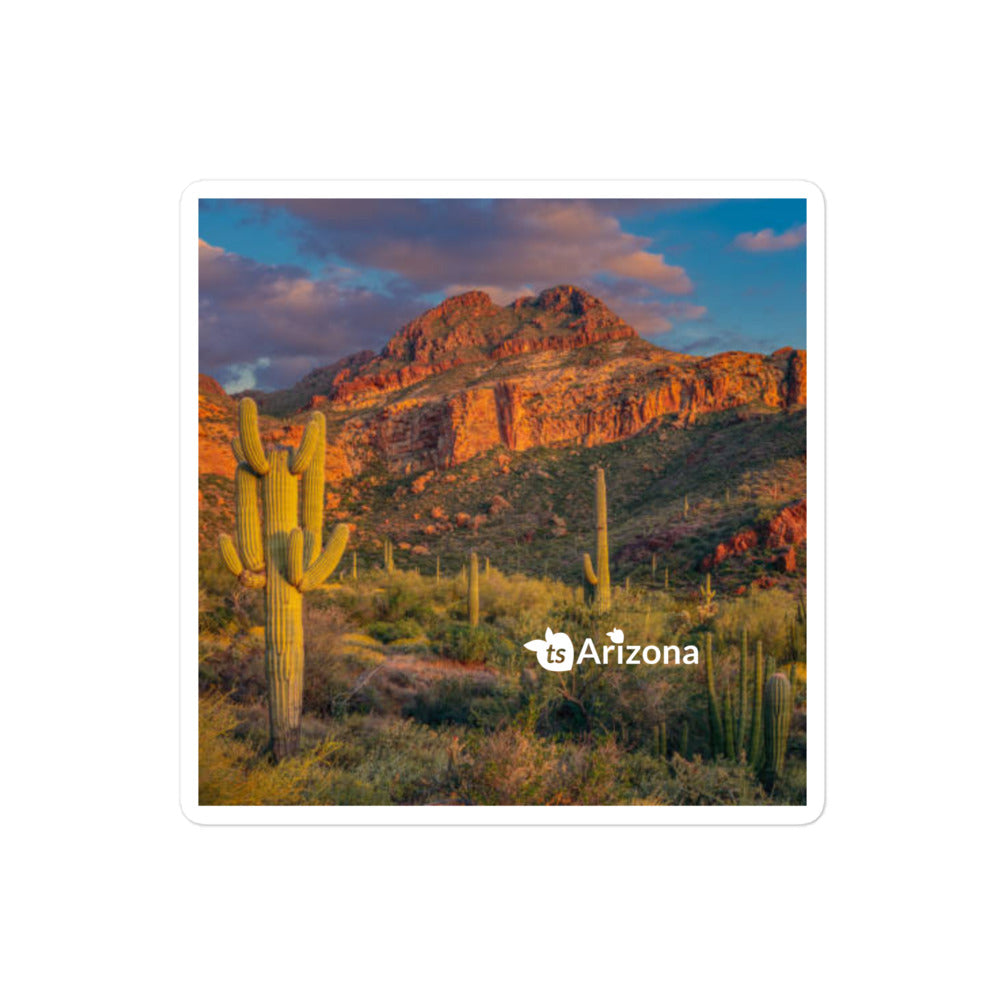 tsgabrielle® • Arizona - Tucson Mountain Range • Sticker Bubble-Frees • 3 Sizes