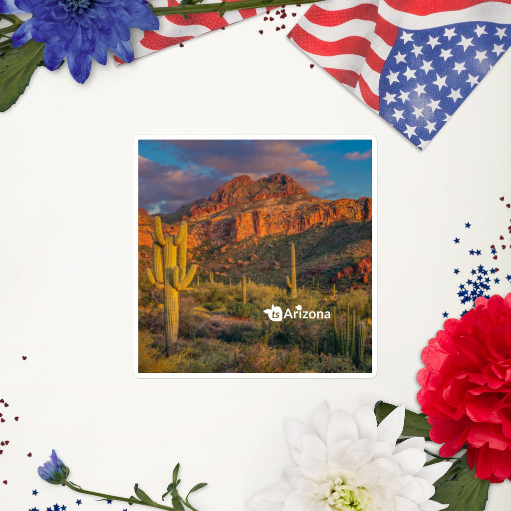 tsgabrielle® • Arizona - Tucson Mountain Range • Sticker Bubble-Frees • 3 Sizes
