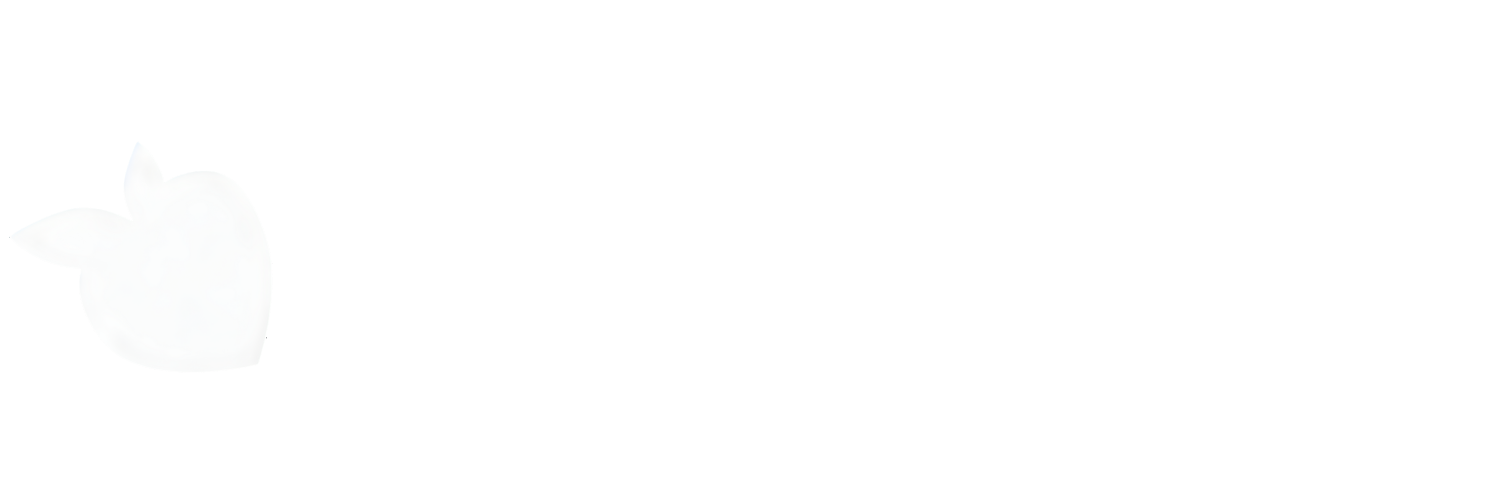 tsgabrielle