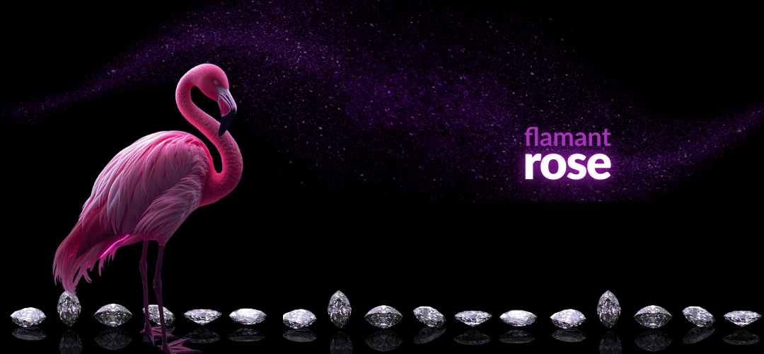 tsgabrielle® • Flamant Rose • Minimalist Backpack • Bllack