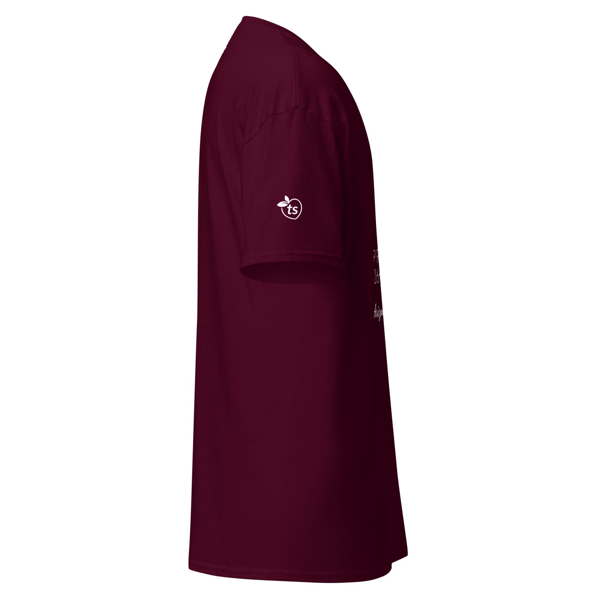 tsgabrielle® • Sélection Masculine • Pride 26 - Arizona • T-shirt Classique • 14 Couleurs - Maroon - View 9