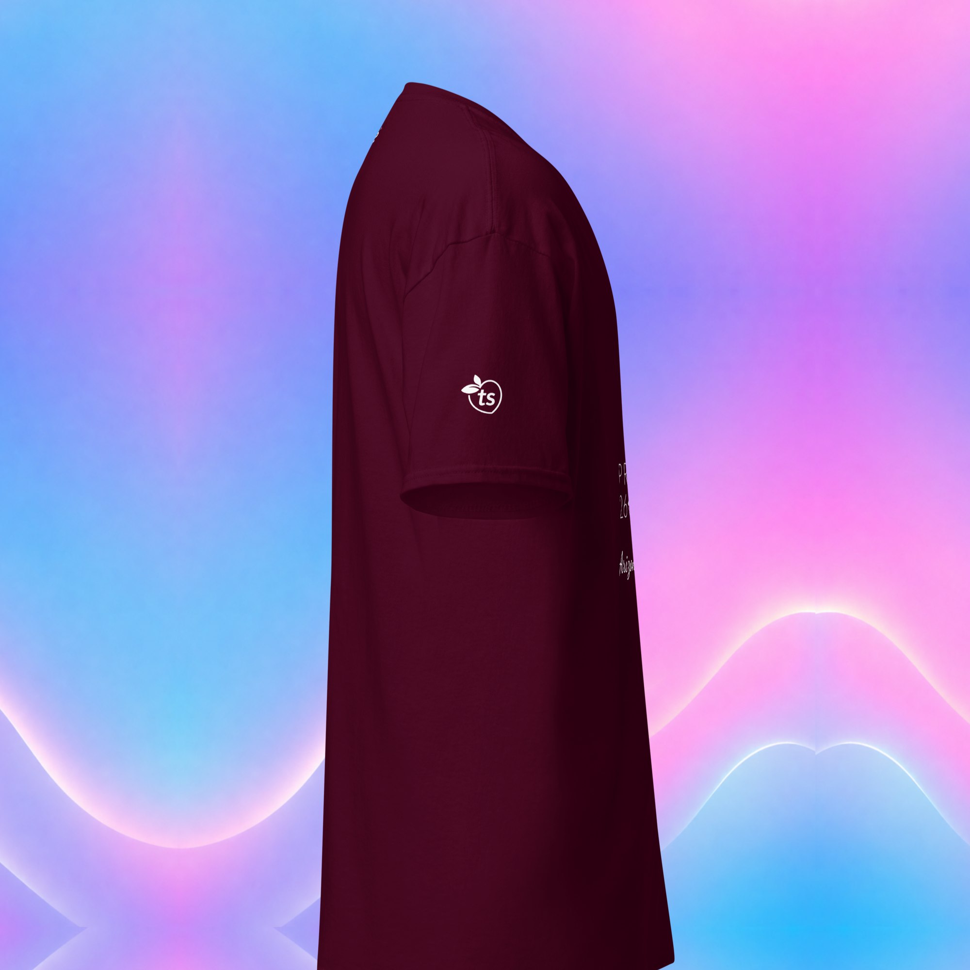 tsgabrielle® • Sélection Masculine • Pride 26 - Arizona • T-shirt Classique • 14 Couleurs - Maroon - View 13